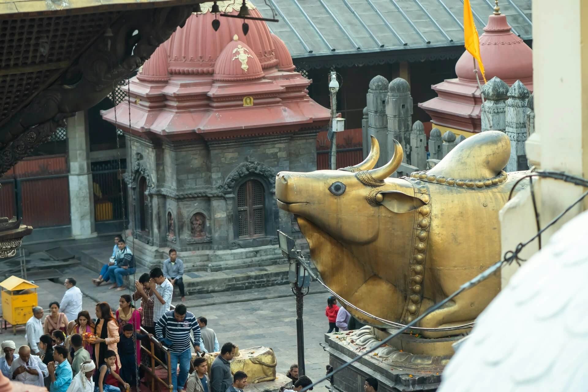 Naamaha: Best Travel Agency in Nepal